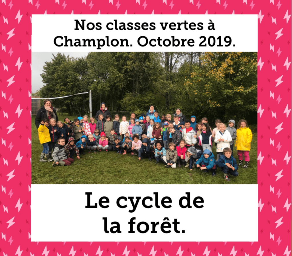 Nos classes vertes à Champlon-Octobre 2019