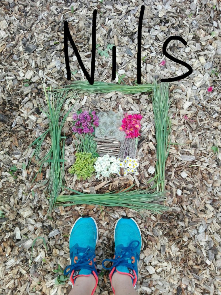 LAND ART de Nils