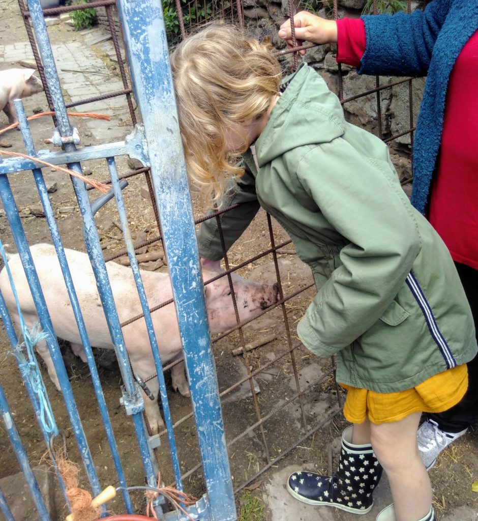 Emma rencontre des cochons (photo et texte)