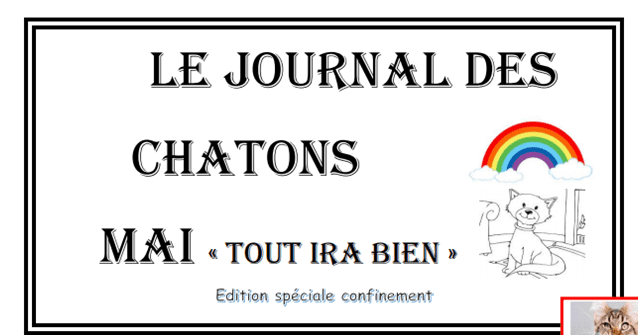 Journal des chatons mai 2020