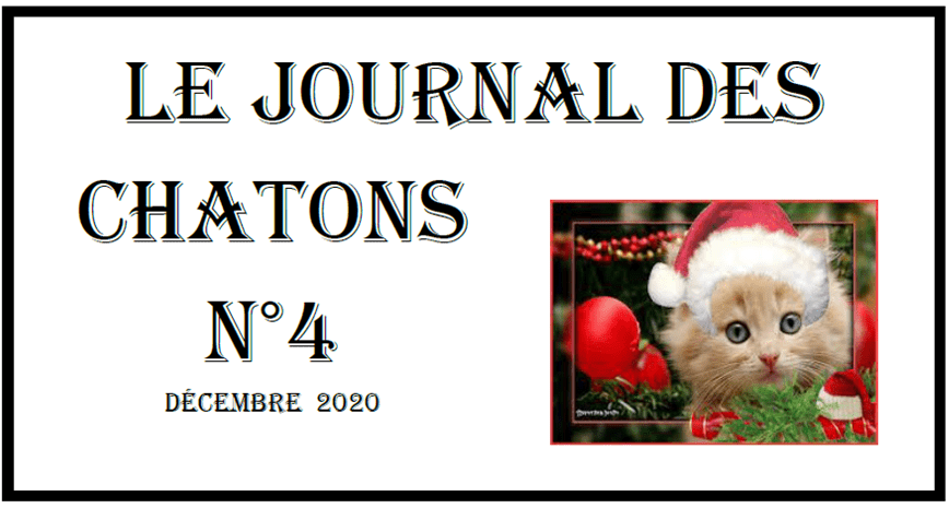 Le journal des chatons décembre 2020