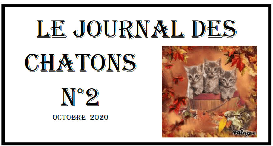 Le journal des chatons octobre 2020
