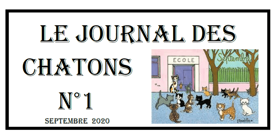 Le journal des chatons septembre 2020