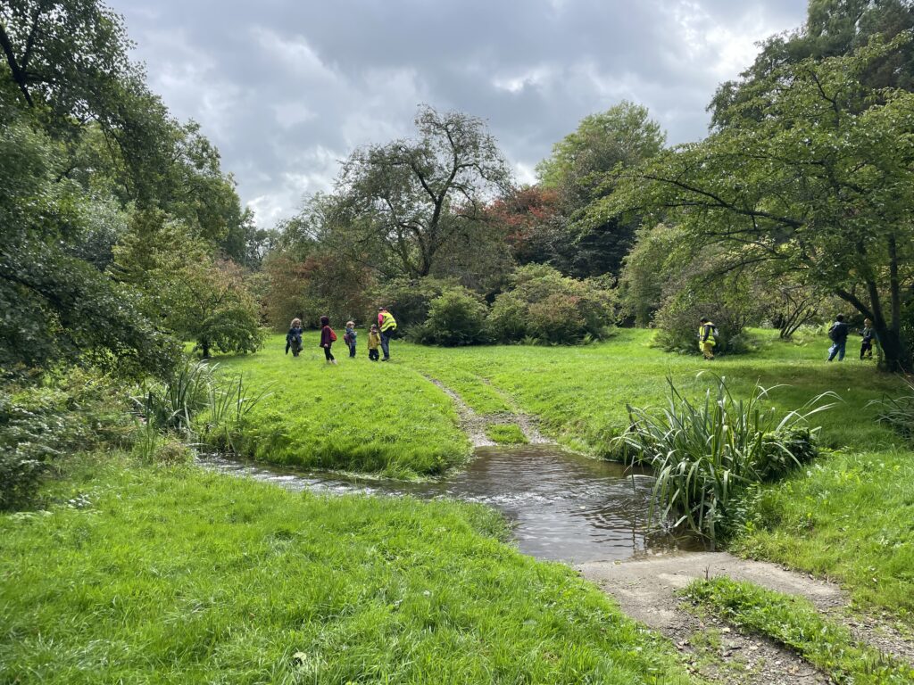 Des nouvelles de la Forêt !