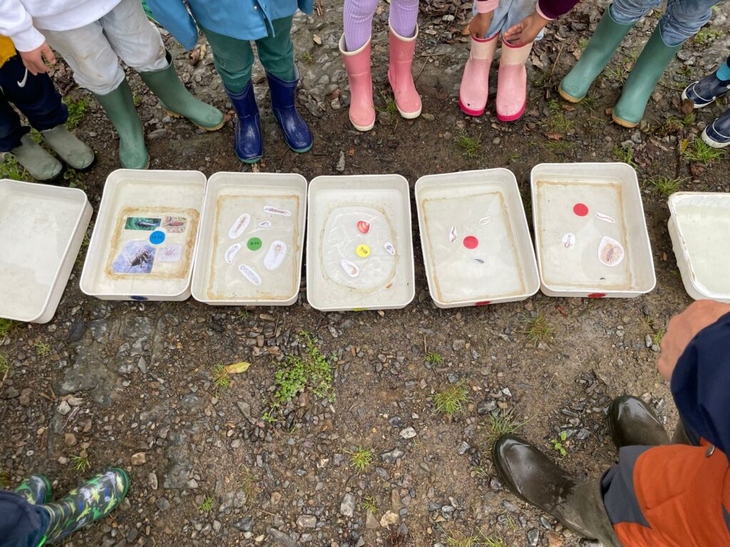 Petit résumé de notre journée de mercredi